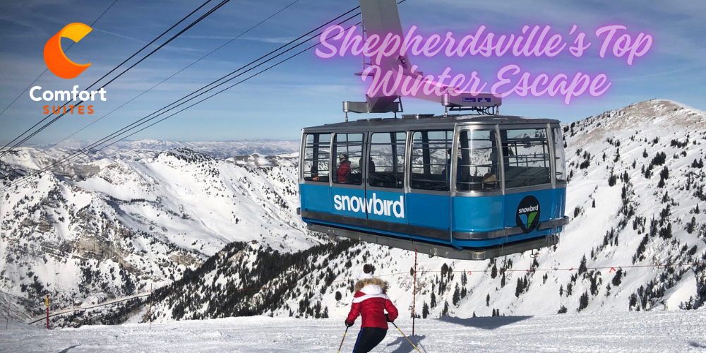 Shepherdsville’s Top Winter Escape