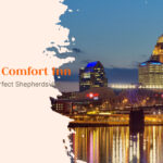 Top Reasons Comfort Inn Louisville South Is a Perfect Shepherdsville Stay